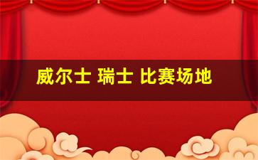 威尔士 瑞士 比赛场地